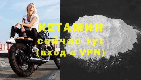 прущие грибы Всеволожск