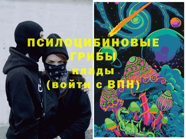 марки nbome Вяземский