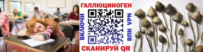 Псилоцибиновые грибы Magic Shrooms  blacksprut как зайти  Дзержинский 